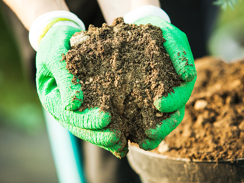 錯誤施肥帶來的七大后果