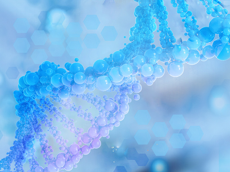 生物菌肥和化肥的優(yōu)勢(shì)對(duì)比